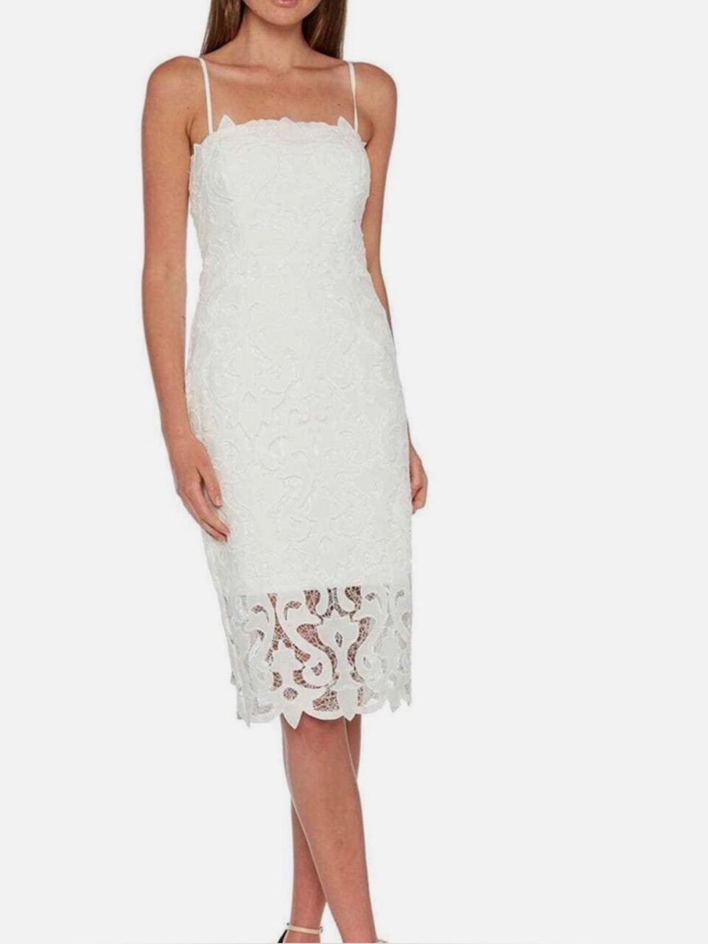 Bardot Lina Lace Midi Dress with Scallop Lace Overlay NWT